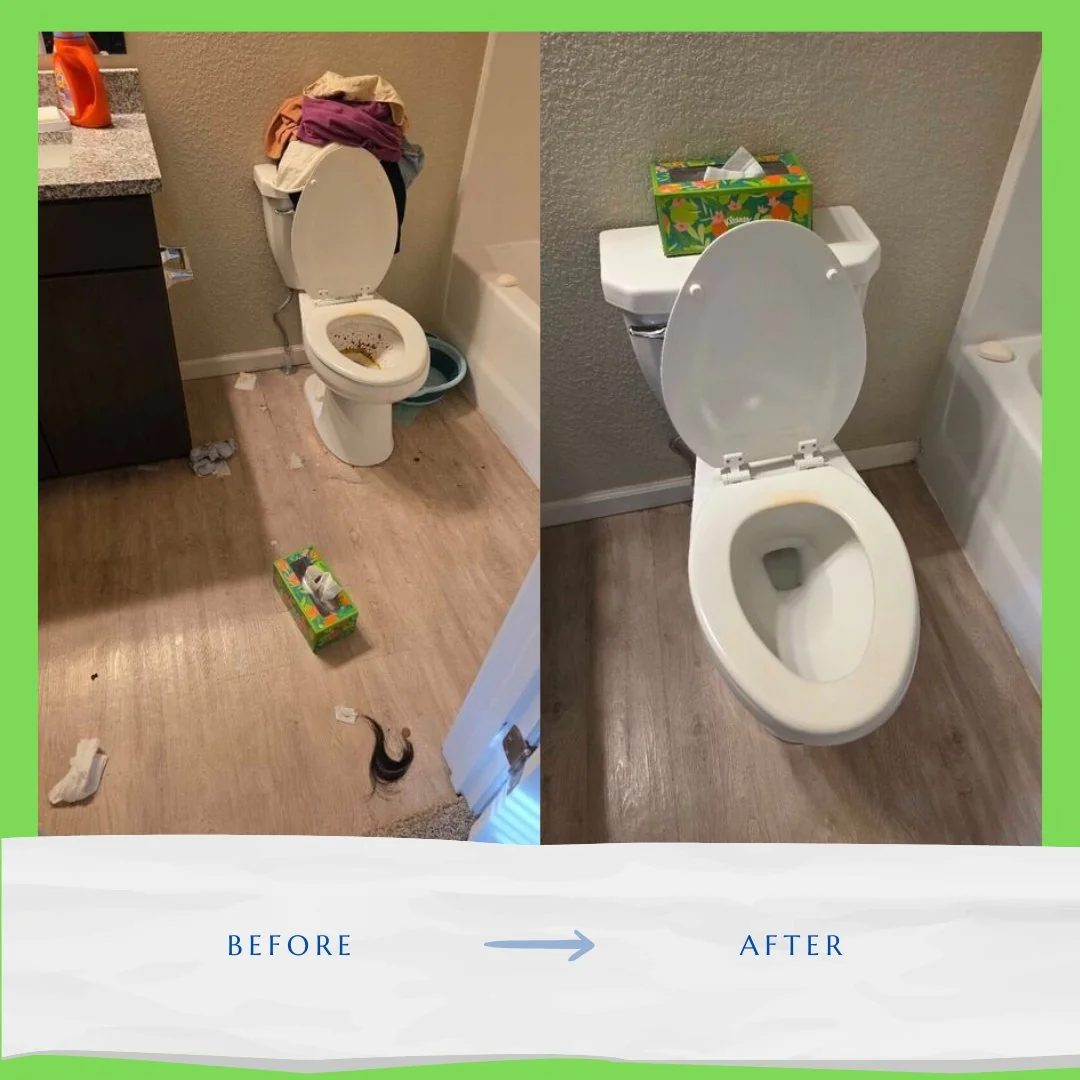 Before and after toilet clean — Wheat State Cleaning